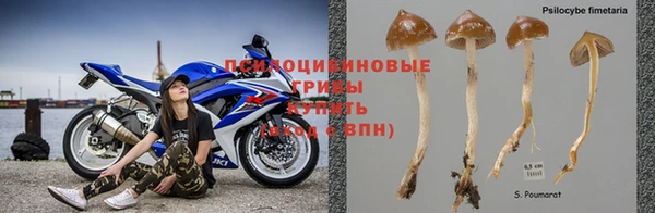 таблы Армянск
