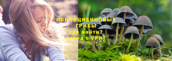 крисы Арсеньев
