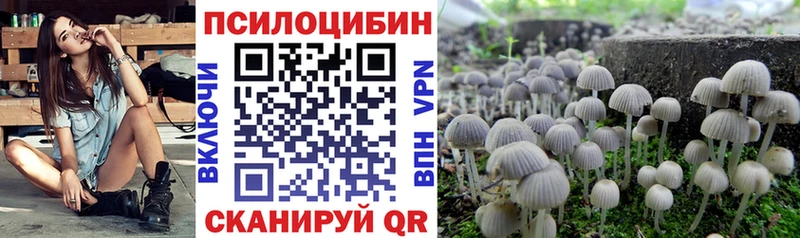 как найти закладки  блэк спрут   Псилоцибиновые грибы прущие грибы  Ряжск 